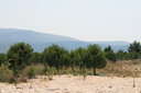 gal/cro 08/_thb_small-IMG_4497.JPG